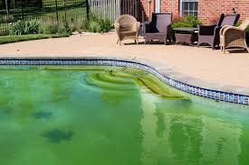 Green pool